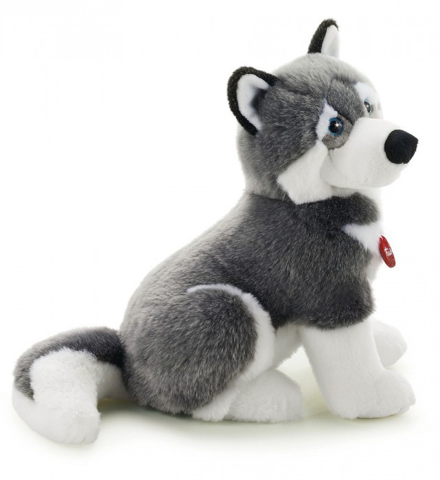 Pluszak pies - husky Marcus, 45 cm